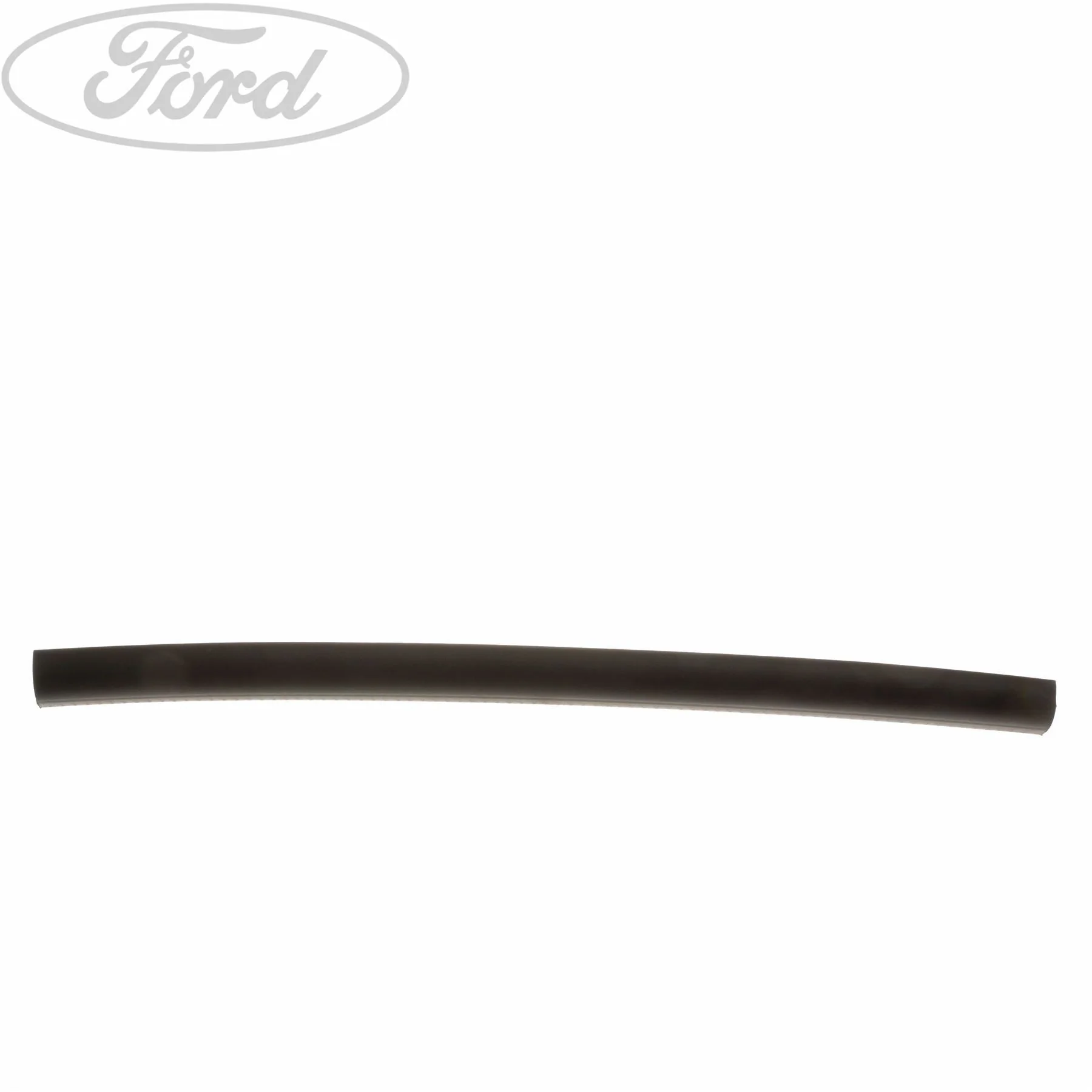 BODY SEALS - Image 2