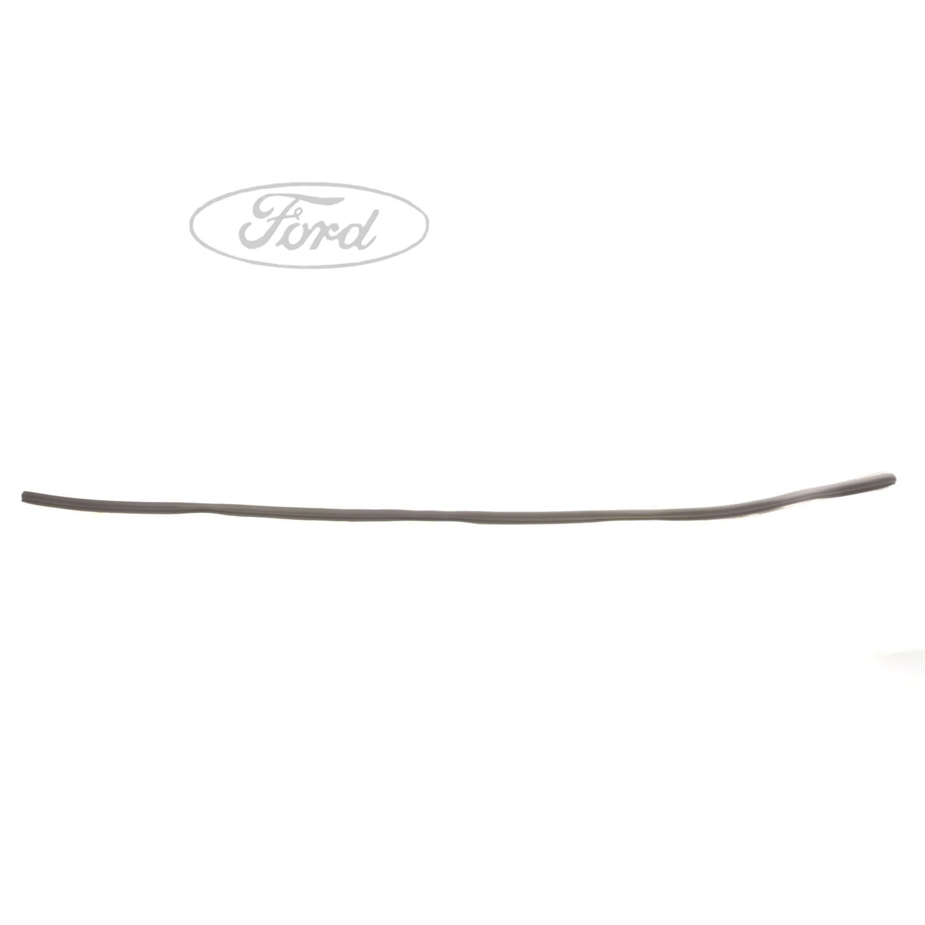 BODY SEALS - Image 2
