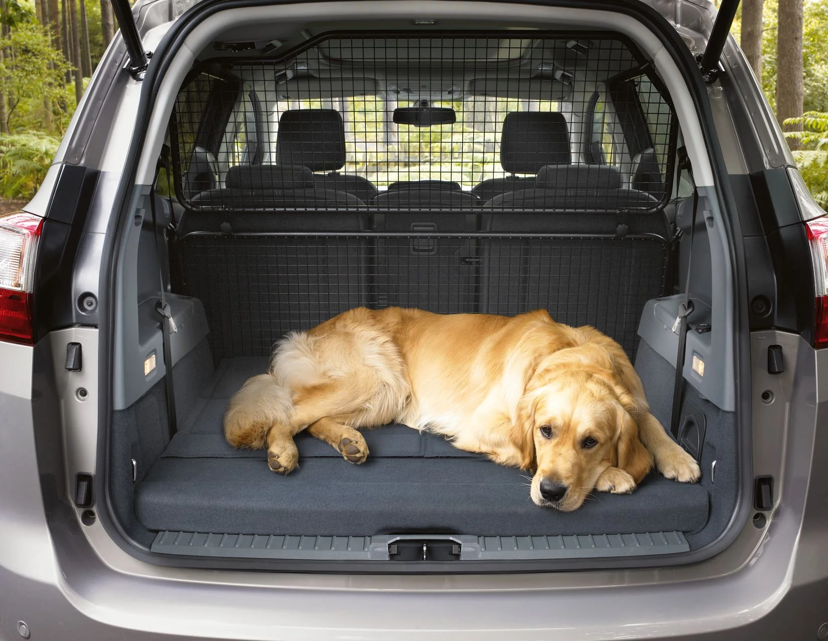 C-MAX LOAD RETENTION GUARD EXTENSION 08/2010 06/2015, GRAND C-MAX.