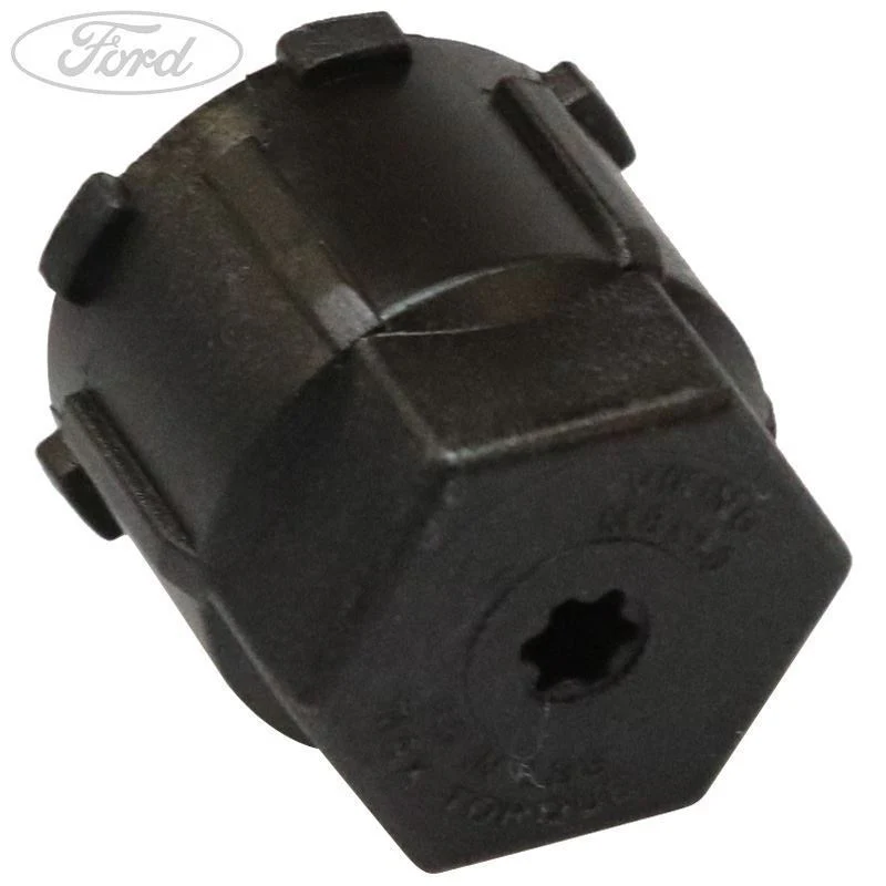 CAP - Image 2