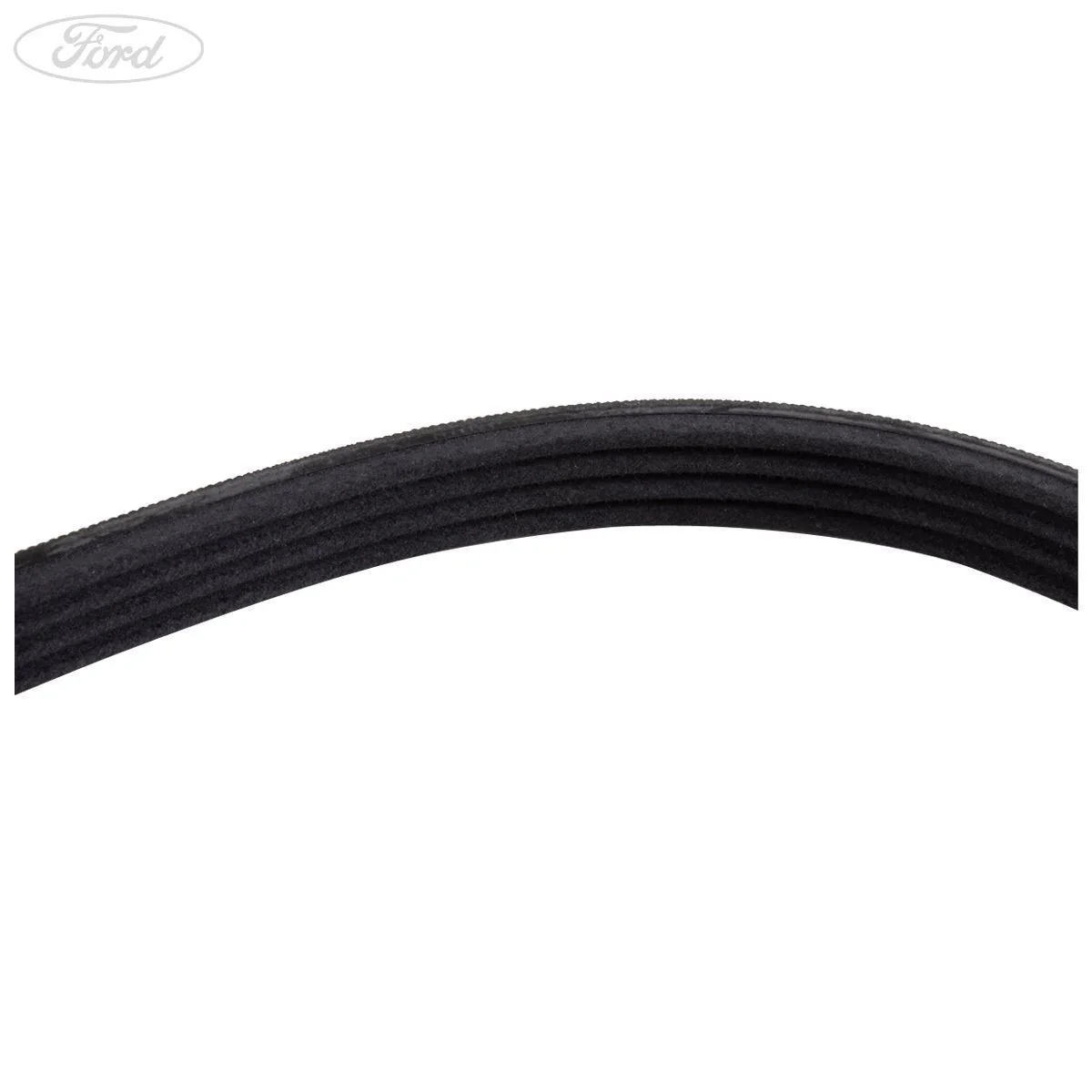 CONNECT KUGA 2.5 DURATEC AUXILIARY V BELT 03/2014- - Image 5