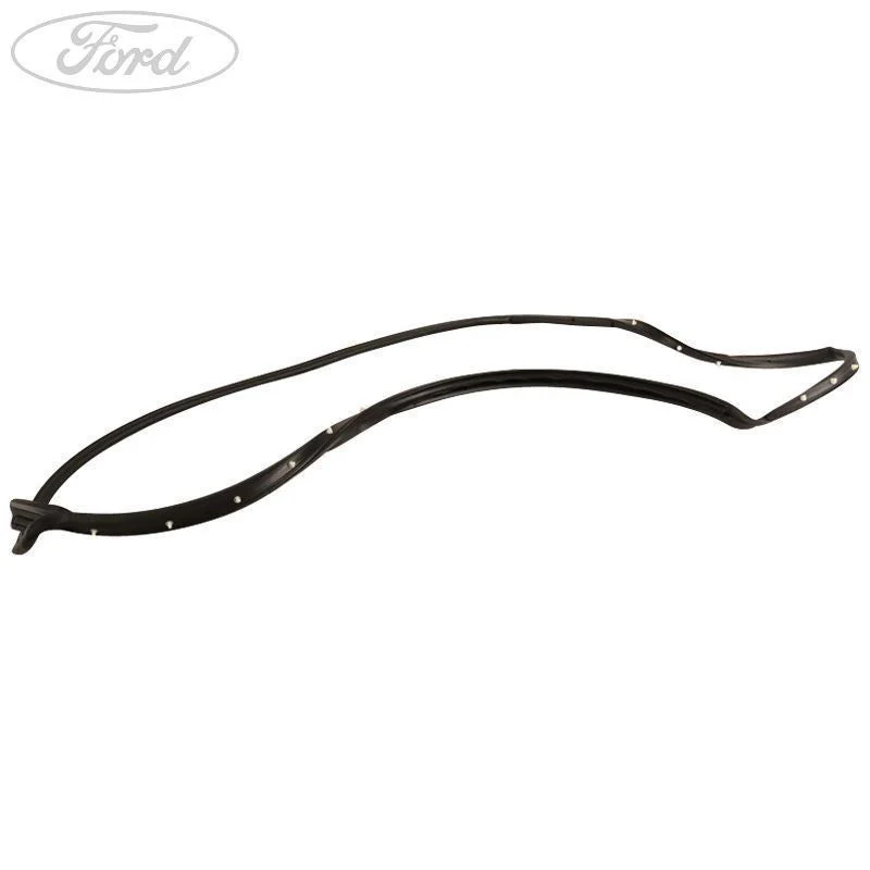 ECOSPORT FRONT N/S DOOR WINDOW WEATHERSTRIP SEAL 2017-2018 - Image 3
