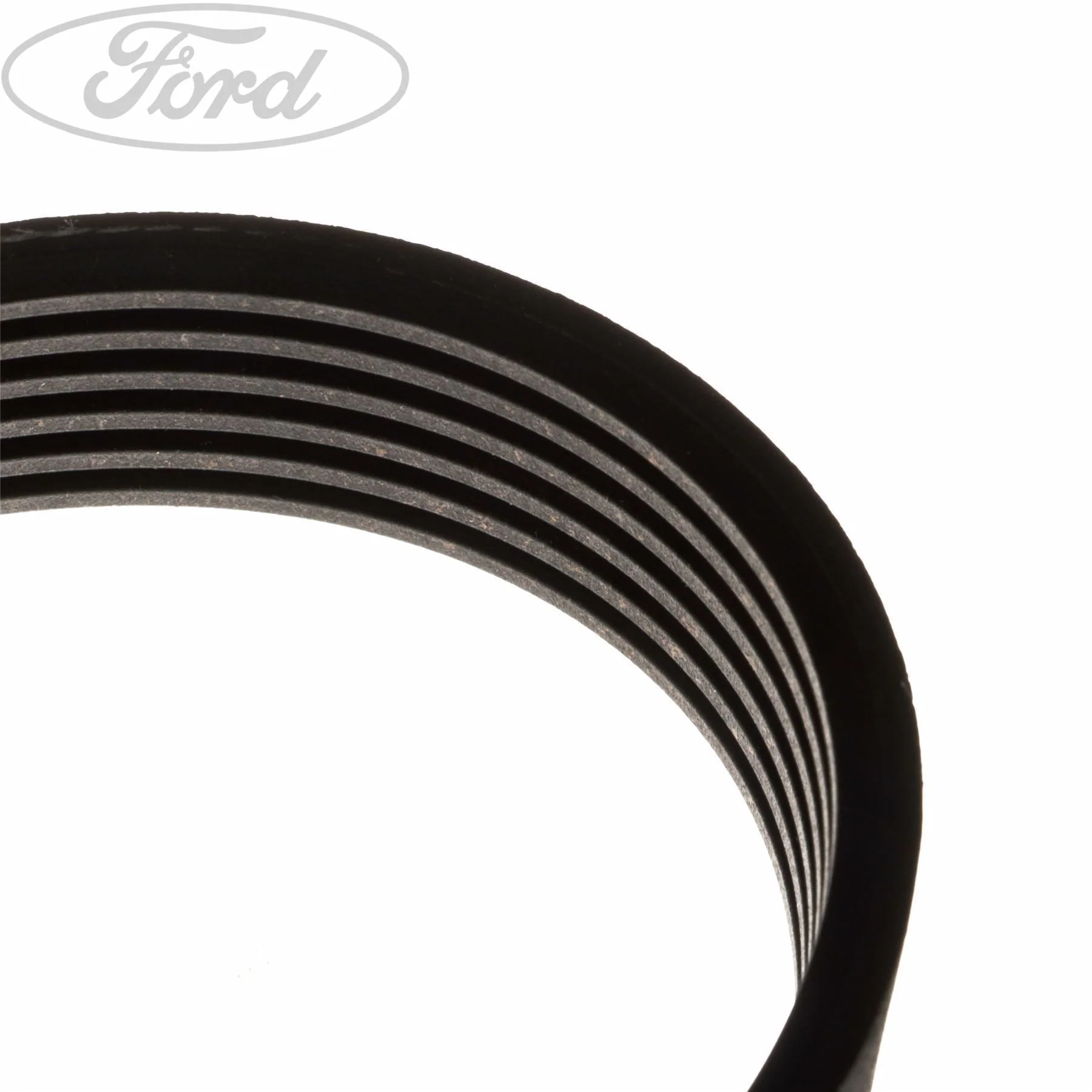 FIESTA FUSION DRIVE V BELT - Image 4