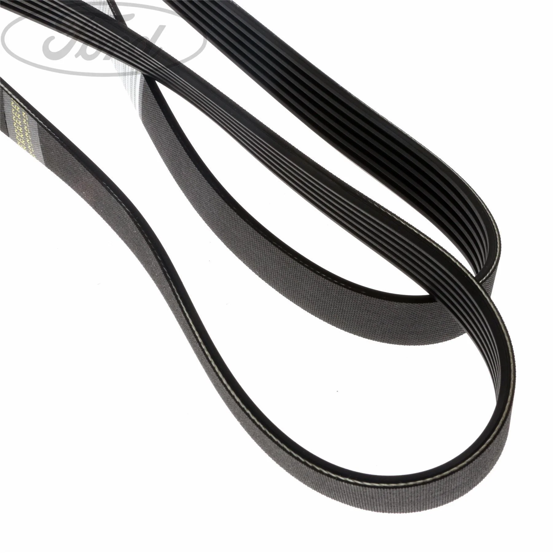 FOCUS DRIVE V BELT - Image 4