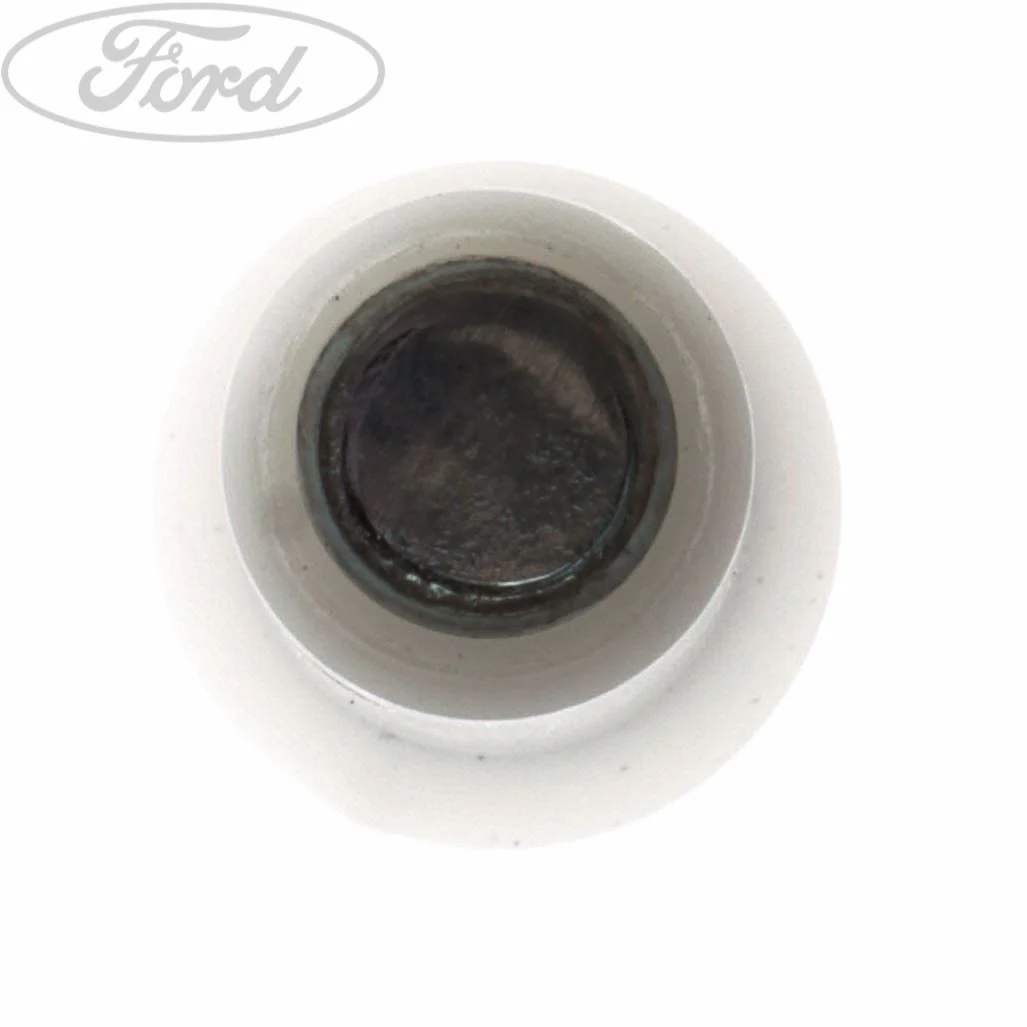 BRAKE BOOSTER BUSH