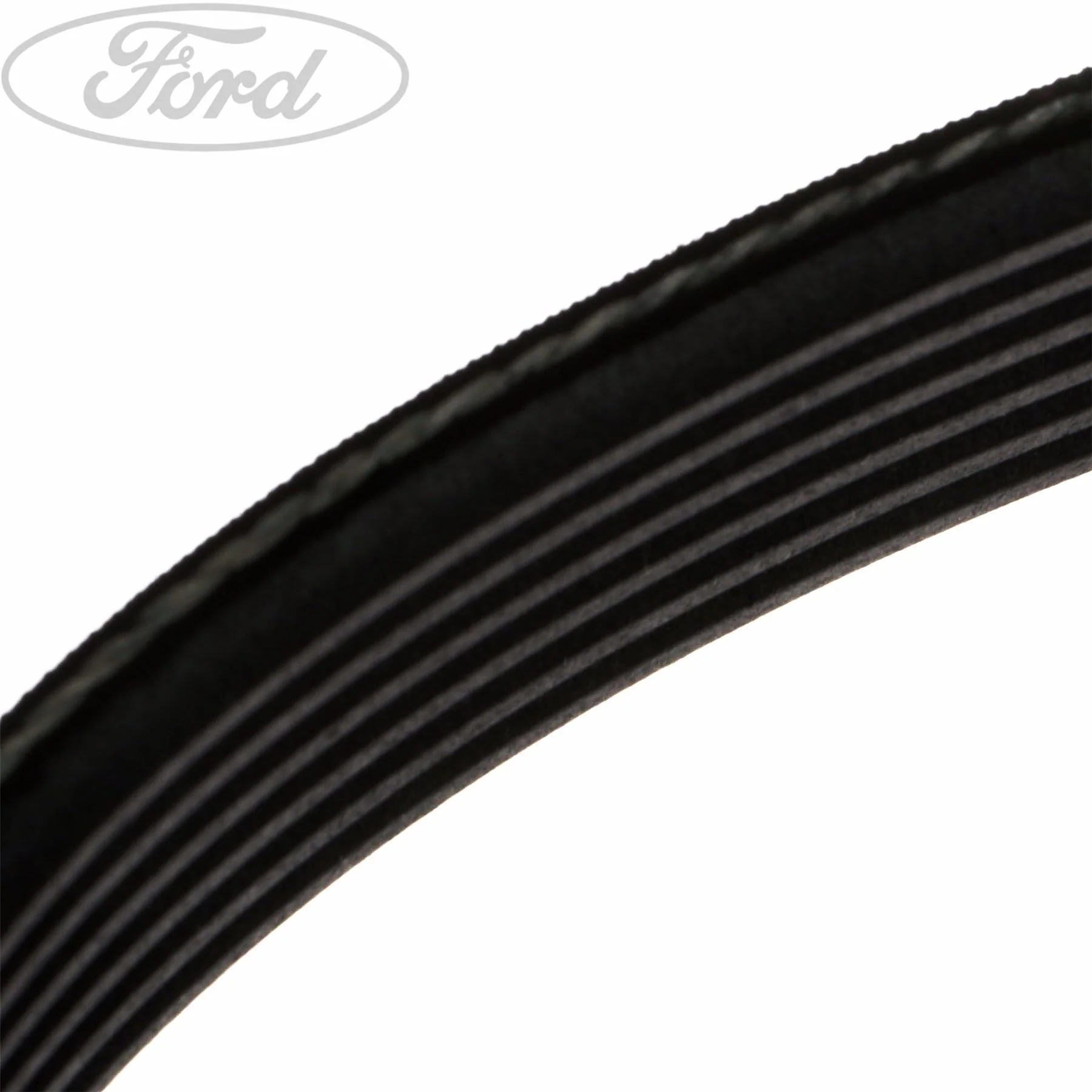 FIESTA KA MOTORCRAFT DRIVE V BELT - Image 4