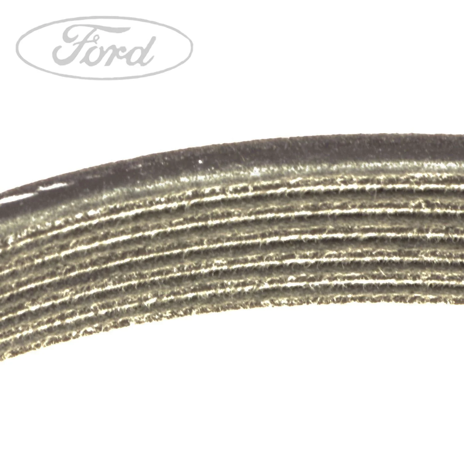 FOCUS C-MAX FIESTA FUSION DRIVE V BELT - Image 2