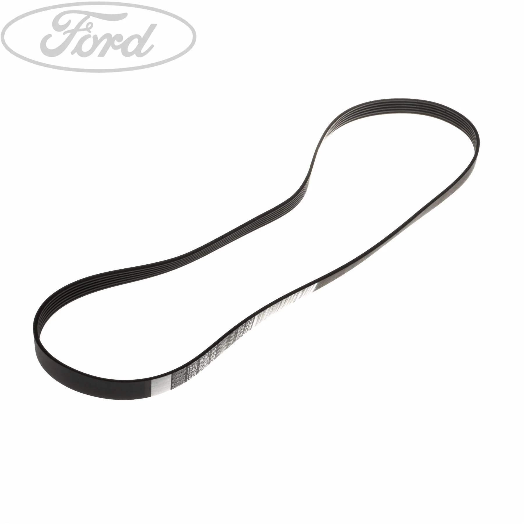 FOCUS DRIVE V BELT - Image 2