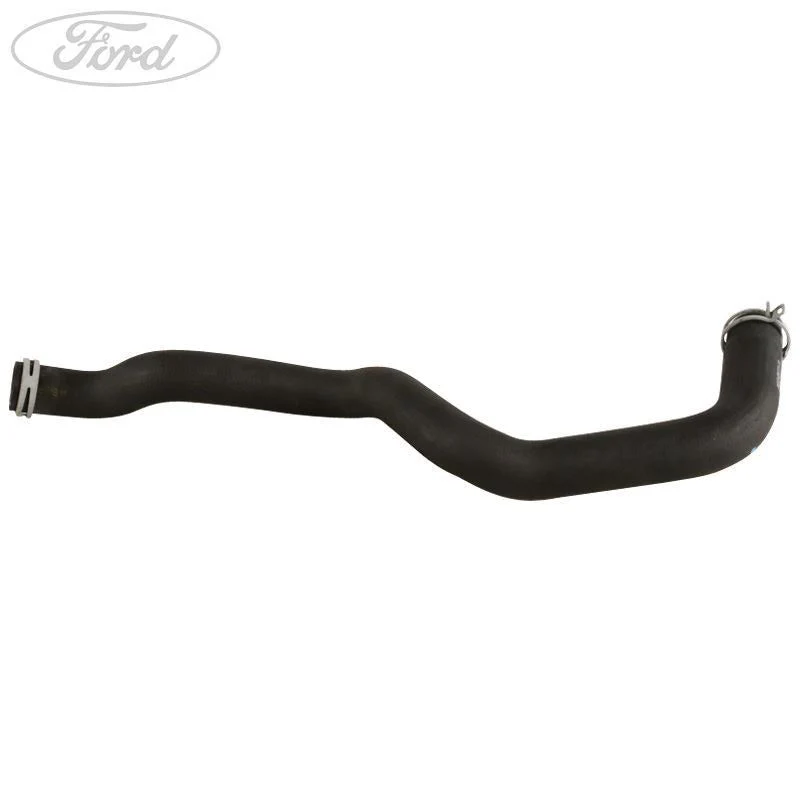 RANGER DOHC LOWER BOTTOM RADIATOR HOSE 2011- - Image 3
