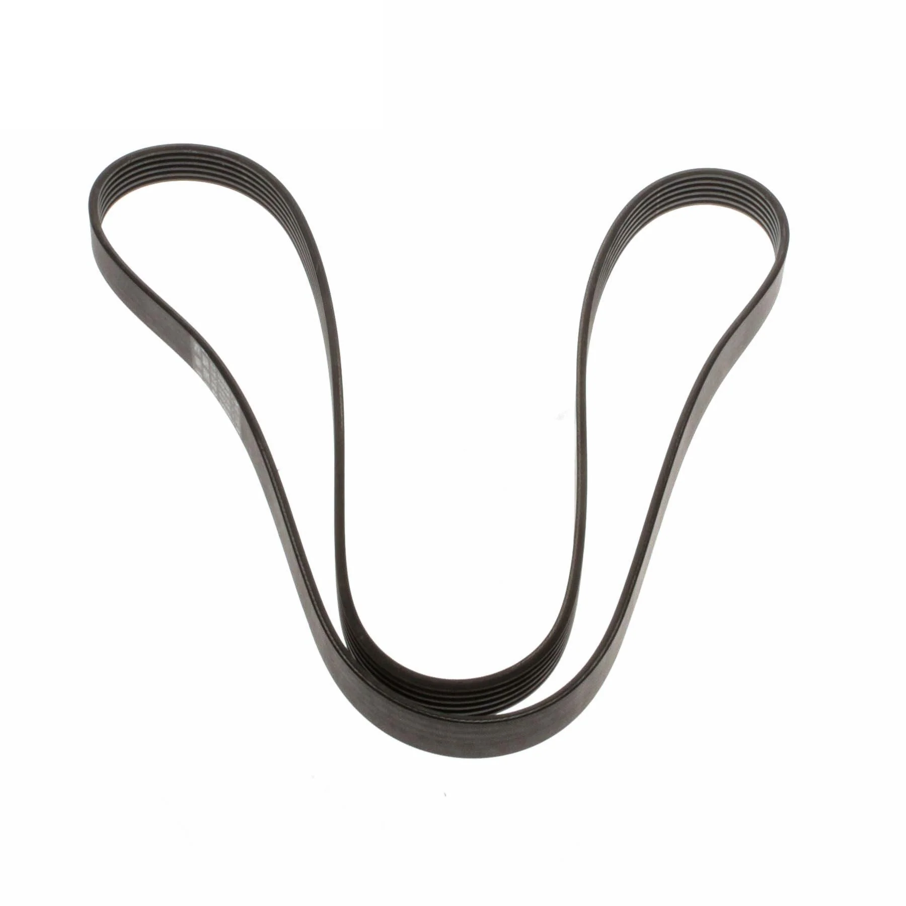 KUGA C-MAX FOCUS FIESTA 1.6 GTDI DRIVE V BELT