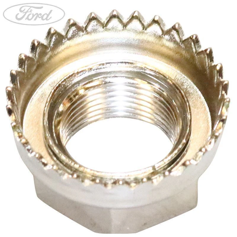 NUT - Image 2