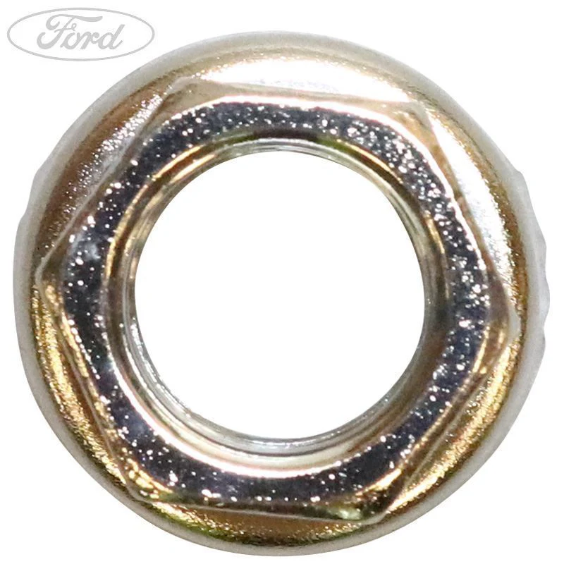 NUT - Image 3