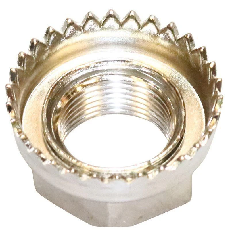 NUT - Image 5