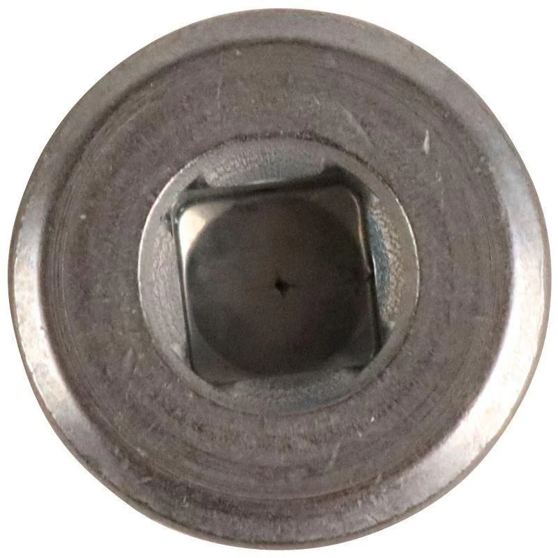 PLUG - Image 4
