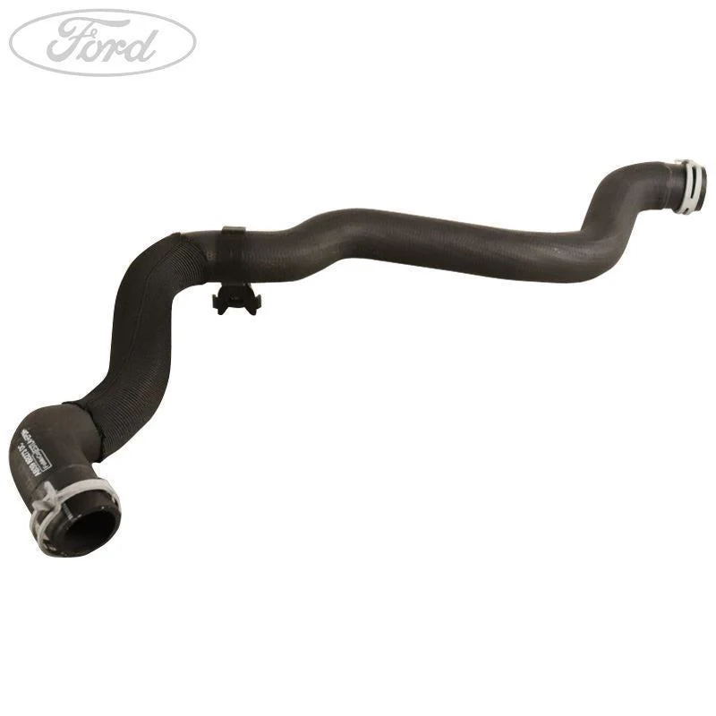 RANGER 2.2 DURATORQ TDCI BOTTOM RADIATOR HOSE 2015- - Image 2