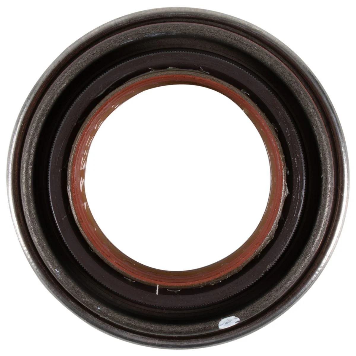 SEAL - Image 6