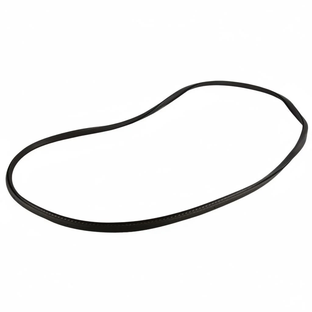 TRANSIT CONNECT 2ND ROW QUARTER WINDOW WEATHERSTRIP SEAL - Image 5